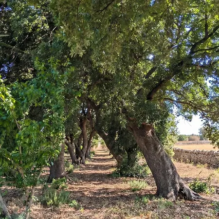 Country house La Quercia Natura E Relax *